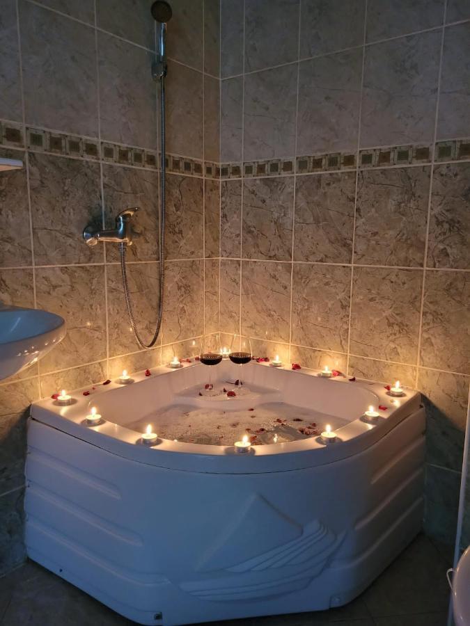 Apartman Ns Dan Centar Novi Sad Dış mekan fotoğraf