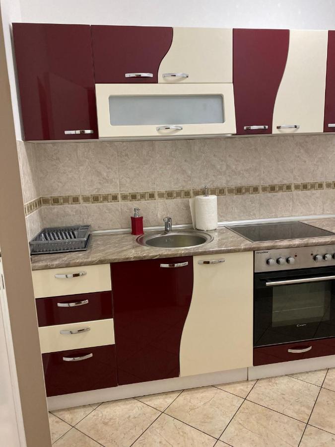 Apartman Ns Dan Centar Novi Sad Dış mekan fotoğraf