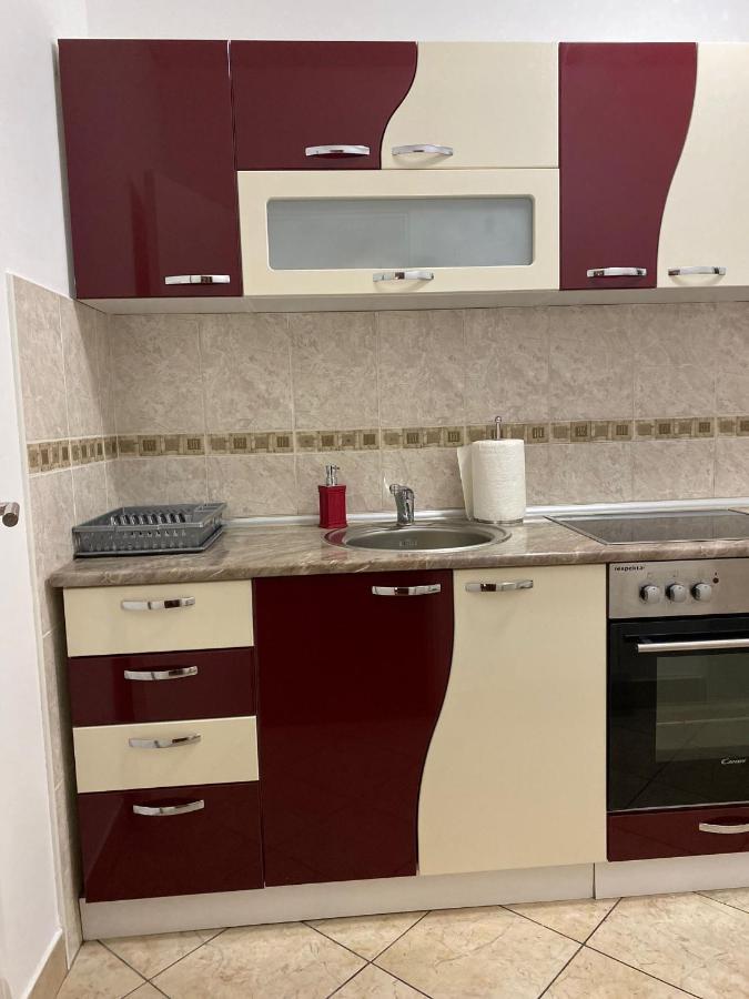 Apartman Ns Dan Centar Novi Sad Dış mekan fotoğraf